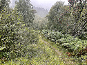 Lochgoilhead : 587_sm_019.jpg