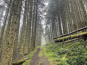 Lochgoilhead : 587_sm_020.jpg