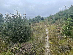 Lochgoilhead : 587_sm_021.jpg