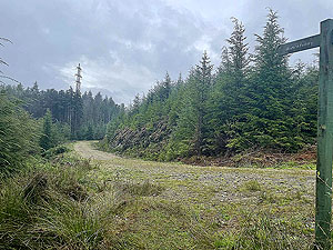 Lochgoilhead : 587_sm_022.jpg