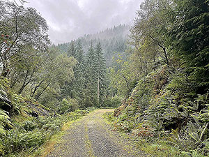 Lochgoilhead : 587_sm_023.jpg