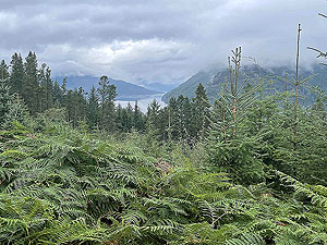 Lochgoilhead : 587_sm_029.jpg