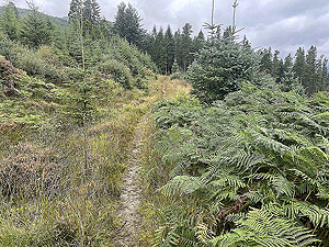 Lochgoilhead : 587_sm_030.jpg