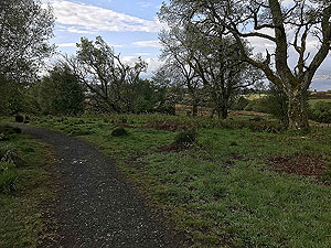 Cardross to Helensburgh : 588_sm_004.jpg