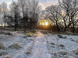 Cardross to Helensburgh : 588_sm_007.jpg