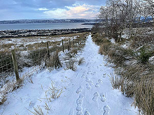 Cardross to Helensburgh : 588_sm_010.jpg