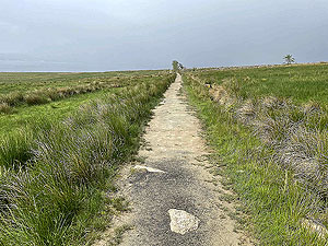 Cardross to Helensburgh : 588_sm_021.jpg