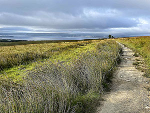 Cardross to Helensburgh : 588_sm_022.jpg