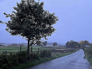 Cardross to Helensburgh : 588_sm_028.jpg