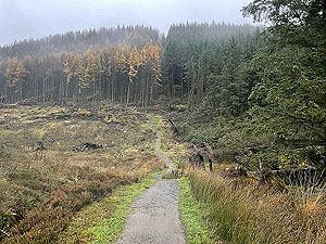 Cardross to Helensburgh : 588_sm_032.jpg
