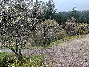 Cardross to Helensburgh : 588_sm_033.jpg