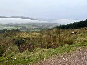 Cardross to Helensburgh : 588_sm_036.jpg