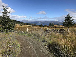 Gallus Running : Craigendoran to Balloch : 590_sm_001.jpg