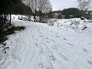 Gallus Running : Craigendoran to Balloch : 590_sm_007.jpg