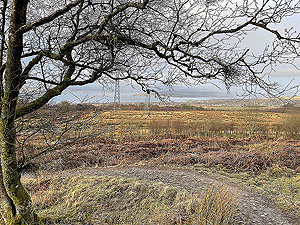 Gallus Running : Craigendoran to Balloch : 590_sm_008.jpg