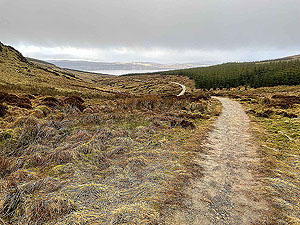 Gallus Running : Craigendoran to Balloch : 590_sm_011.jpg