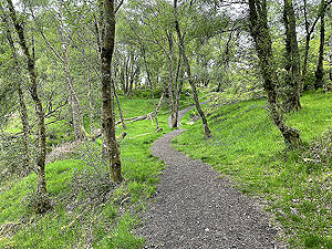 Gallus Running : Craigendoran to Balloch : 590_sm_018.jpg