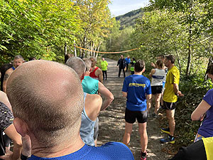 Gallus Running  : 592_sm_002.jpg