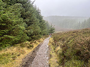 Glentress half marathon : 595_sm_005.jpg
