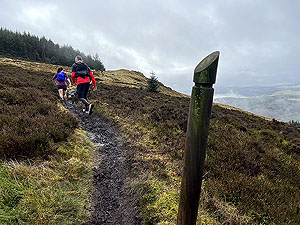 Glentress half marathon : approaching the last part of the main uphill