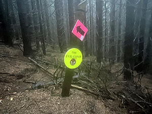 Glentress half marathon : This part just about kills you