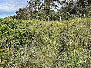 Portpatrick : End of the route, now turning back