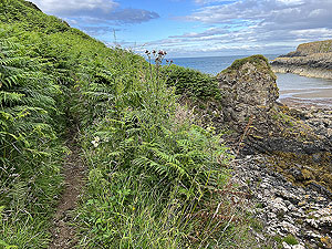 Portpatrick : Path at Sandeel bay beach