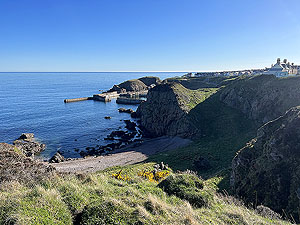 Findochty : Harbour view
