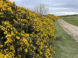 Findochty : 598_sm_008.jpg