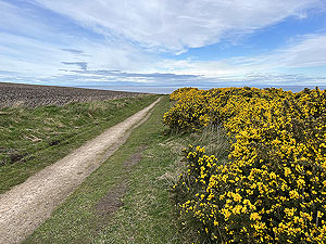 Findochty : 598_sm_009.jpg