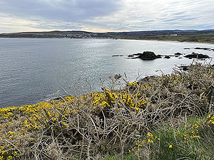 Findochty : Cullen in the distance