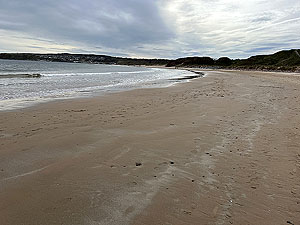Findochty : Beach view