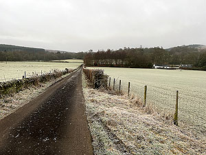 Run loop around Gouk hill : Onto single track