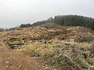 Run loop around Gouk hill : The climb continues