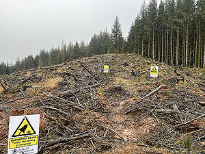 Run loop around Gouk hill : Road becomes traol