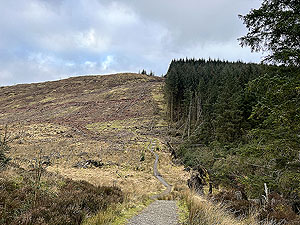 Run loop around Gouk hill : Looking back on the spooky wood exit