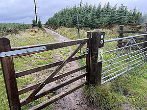Run loop around Gouk hill : Gate at dead mans rest