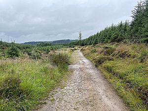 Run loop around Gouk hill : Towards Balloch