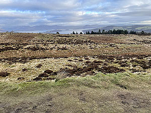 Run loop around Gouk hill : Heading downhill towards Balloch