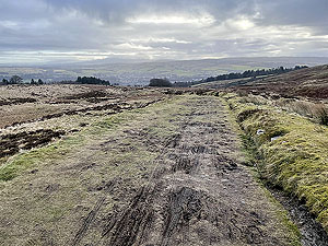 Run loop around Gouk hill : Heading downhill towards Balloch