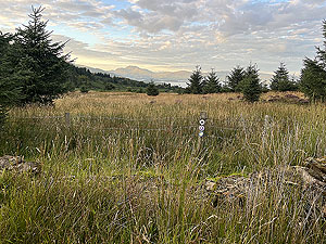 Run loop around Gouk hill : View to Ben Lomond