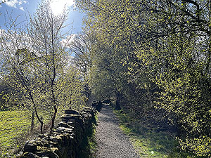 Helensburgh games hill race : Short flat section overlooking the Clyde