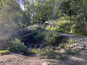 Helensburgh games hill race : Path across the burn
