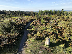 Run from Aberdeen airport : : Trail ahead from the tower