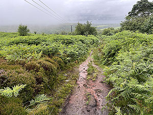 Over the Carman : Track now a trail