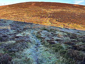 Over the Carman : Path turns into trail for the next climb