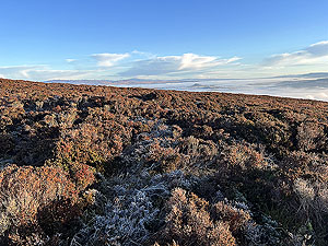 Over the Carman : Path is faint in parts but still possible to follow