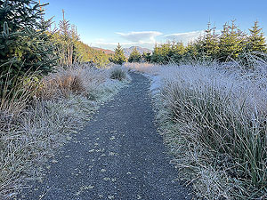 Over the Carman : Crisp morning just before the spooky woods