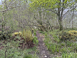 Crinan trail : The initial trail