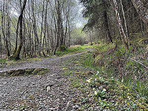 Crinan trail :